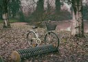 Un bel giro in bicicletta anche d'inverno nelle mattinate di nebbia Foto di @alessioalexfoto (31/01/2023)