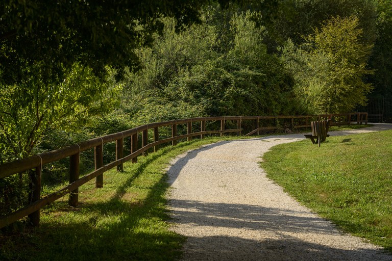 Parco San Carlo_sentiero